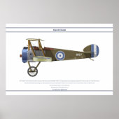 Camel Griekenland Poster (Voorkant)