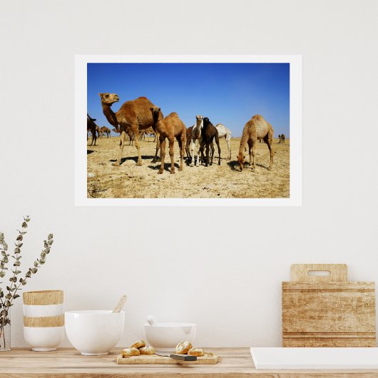 Camel herd poster (Keuken)