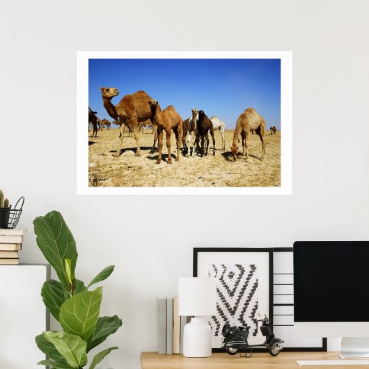 Camel herd poster (Thuiskantoor)
