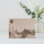 Camel herder briefkaart (Staand voorkant)