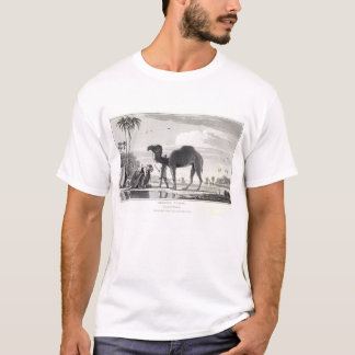 Camel in de  Etching Marokko van de Oasis T-shirt