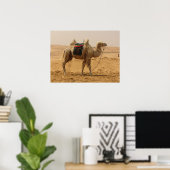 Camel in de woestijn poster (Thuiskantoor)