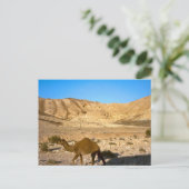 Camel in de woestijn van Judean Briefkaart (Staand voorkant)