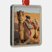 Camel in de woestijn van Oman Metalen Ornament (Rechts)