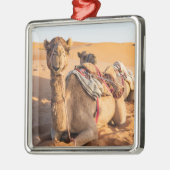 Camel in de woestijn van Oman Metalen Ornament (Links)