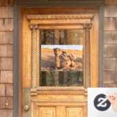 Camel in de woestijn van Oman Raamsticker (Huis Deur)