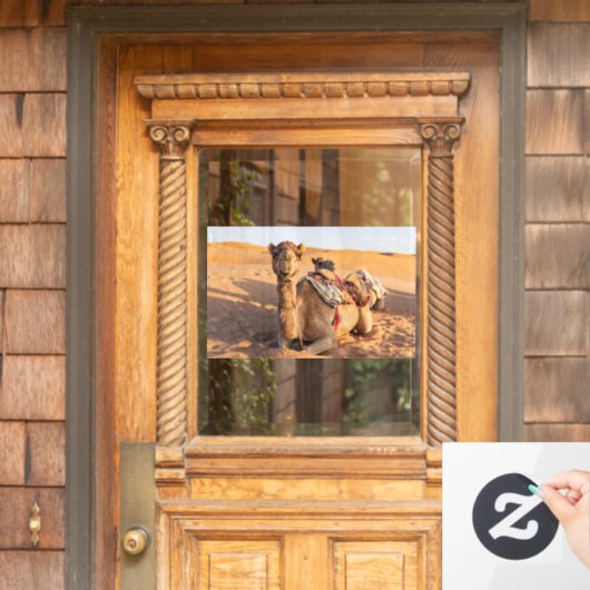 Camel in de woestijn van Oman Raamsticker (Huis Deur)