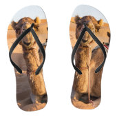Camel in de woestijn van Oman Teenslippers (Voetbed)