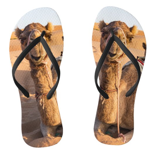 Camel in de woestijn van Oman Teenslippers (Voetbed)