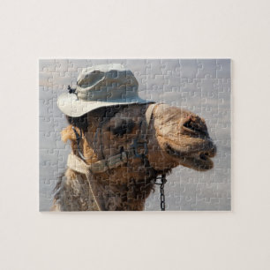 Camel in een Pet! Legpuzzel