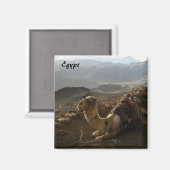 Camel in Egypt Magnet (Voorkant / Achterkant)