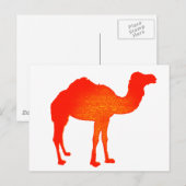Camel in Red Briefkaart (Voorkant / Achterkant)