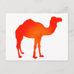 Camel in Red Briefkaart
