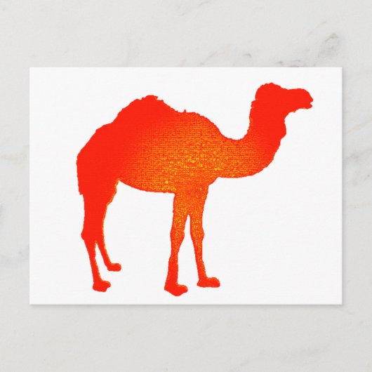 Camel in Red Briefkaart (Voorkant)