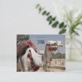 Camel in Syrië Briefkaart (Staand voorkant)