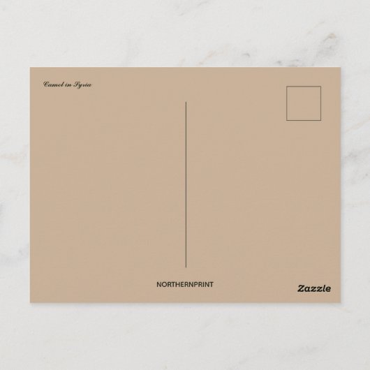Camel in Syrië Briefkaart (Achterkant)