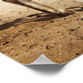 Camel in woestijn poster (Hoek)