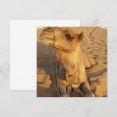 Camel in woestijnuitvindingen kaart (Voorkant / Achterkant)