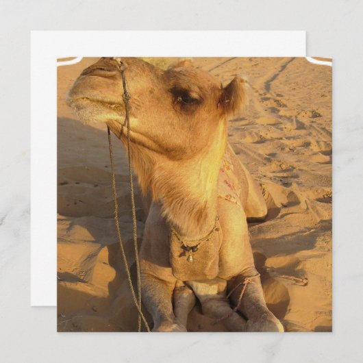 Camel in woestijnuitvindingen kaart (Voorkant / Achterkant)