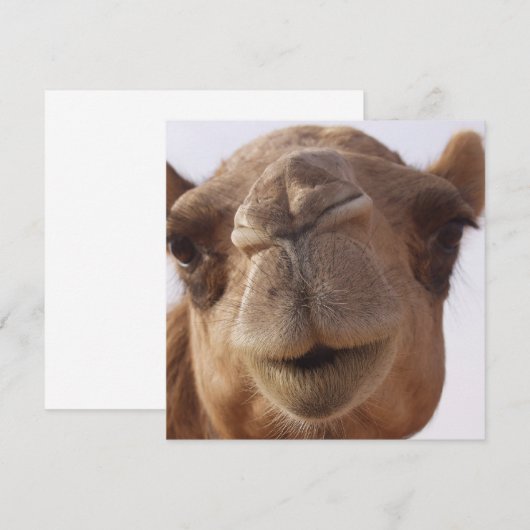 Camel Invitation Kaart (Voorkant / Achterkant)