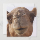 Camel Invitation Kaart (Voorkant)