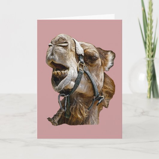 Camel Kaart (Voorkant)