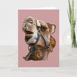 Camel Kaart