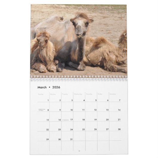 Camel Kalender 2025 (Mar 2026)
