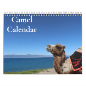Camel Kalender 2025 (Hoes)