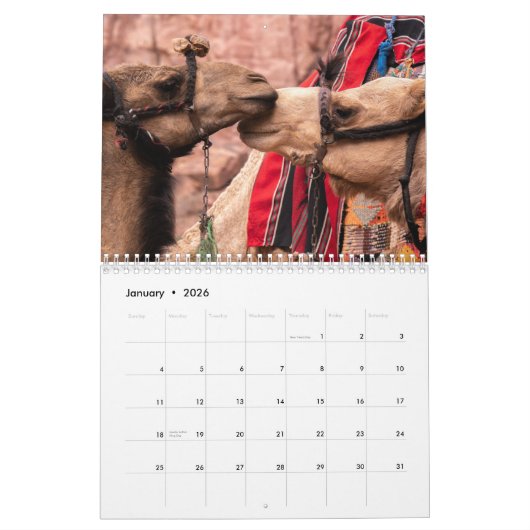 Camel Kalender 2025 (Jan 2026)