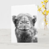 Camel Kisses Fun Close-up Foto Wenskaarten Kaart (Gele Bloem)