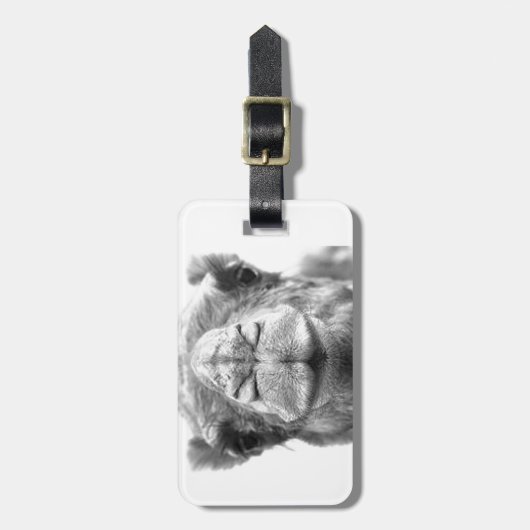 Camel Kisses Fun Closeup Foto Bagagelabel (Voorkant verticaal)