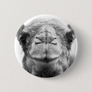 Camel Kisses Fun Closeup Foto Ronde Button 5,7 Cm