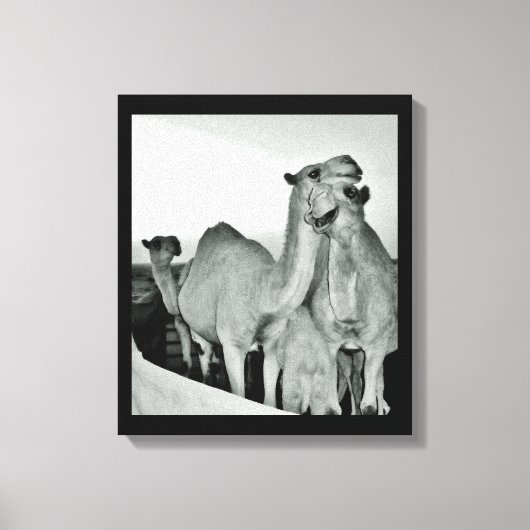 Camel Love Canvas Afdruk (Voorkant)