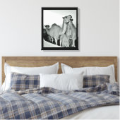 Camel Love Canvas Afdruk (Insitu (Slaapkamer))