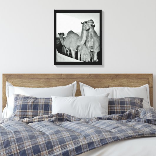 Camel Love Canvas Afdruk (Insitu (Slaapkamer))