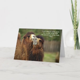 Camel Love Card - Plato Quote Feestdagen Kaart