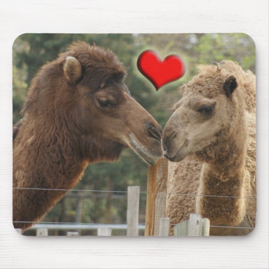 Camel LOVE - GEEN GRENZEN Muismat (Voorkant)
