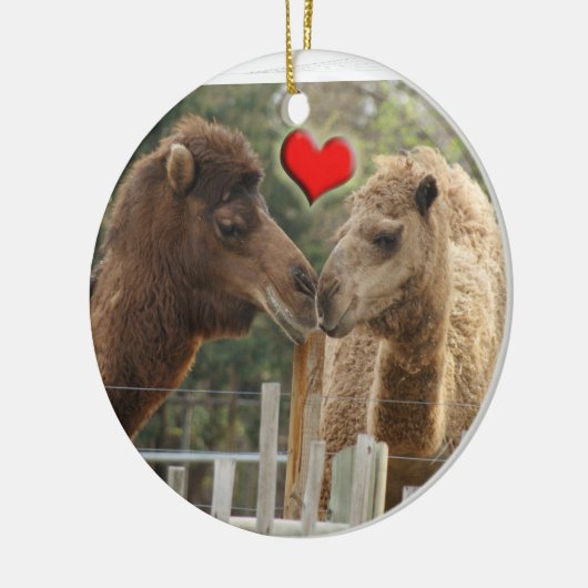 CAMEL LOVE ORNAMENT (Links)