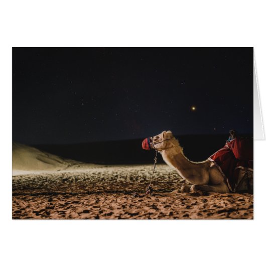 Camel Lying in Midnight Skies (Voorkant Horizontaal)