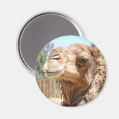 Camel Magnet (Voorkant / Achterkant)