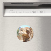Camel Magnet (Insitu (Vaatwasser))