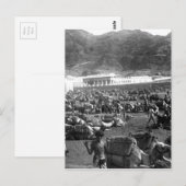 Camel Market, Aden, Jemen 1902 Briefkaart (Voorkant / Achterkant)