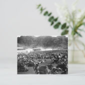 Camel Market, Aden, Jemen 1902 Briefkaart (Staand voorkant)