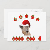 Camel Merry Hump Day Hump Day Camel Feestdagenkaart (Voorkant / Achterkant)