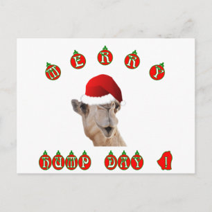 Camel Merry Hump Day Hump Day Camel Feestdagenkaart