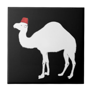 Camel met een fez tegeltje