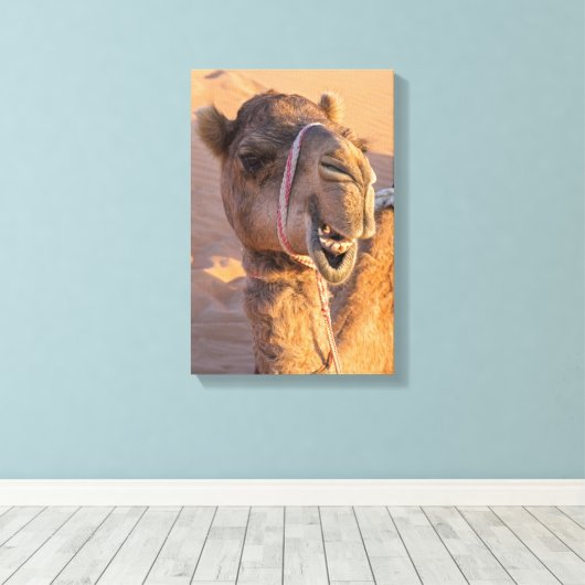Camel met een grappige gezichtsuitdrukking canvas afdruk (Insitu (Houten vloer))