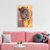 Camel met een grappige gezichtsuitdrukking canvas afdruk (Insitu (Woonkamer))