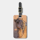 Camel met een grappige gezichtsuitdrukking - Oman Bagagelabel (Voorkant verticaal)